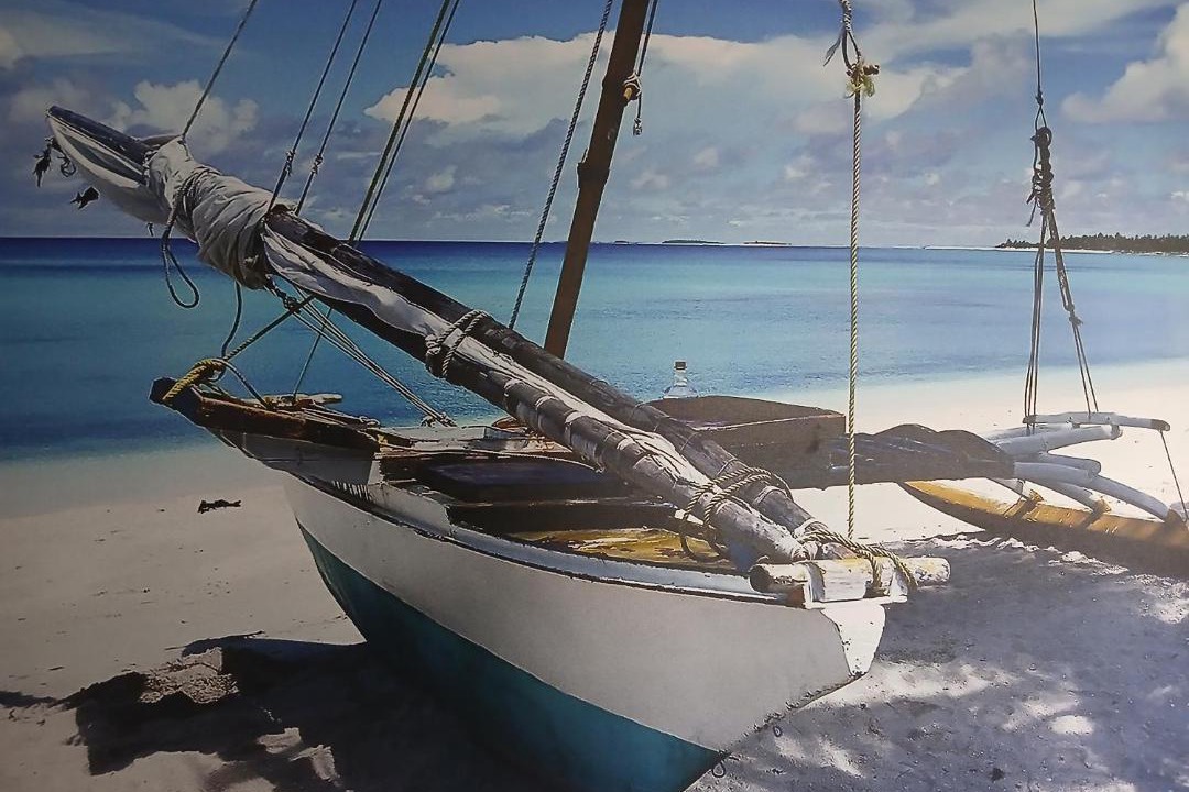 Photo of Others in Jupiter