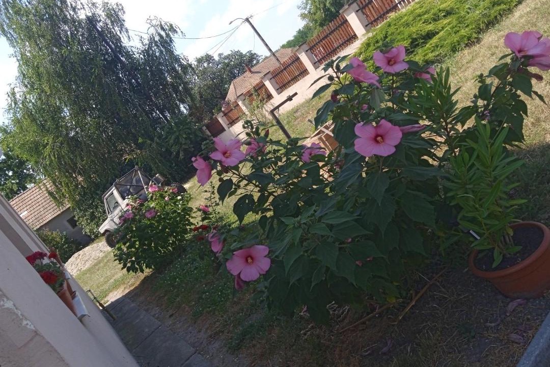 Photo of Outdoor in Tuskevar