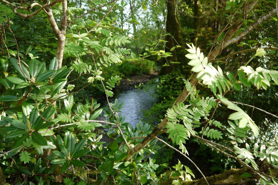 Photo of Outdoor in Honiton