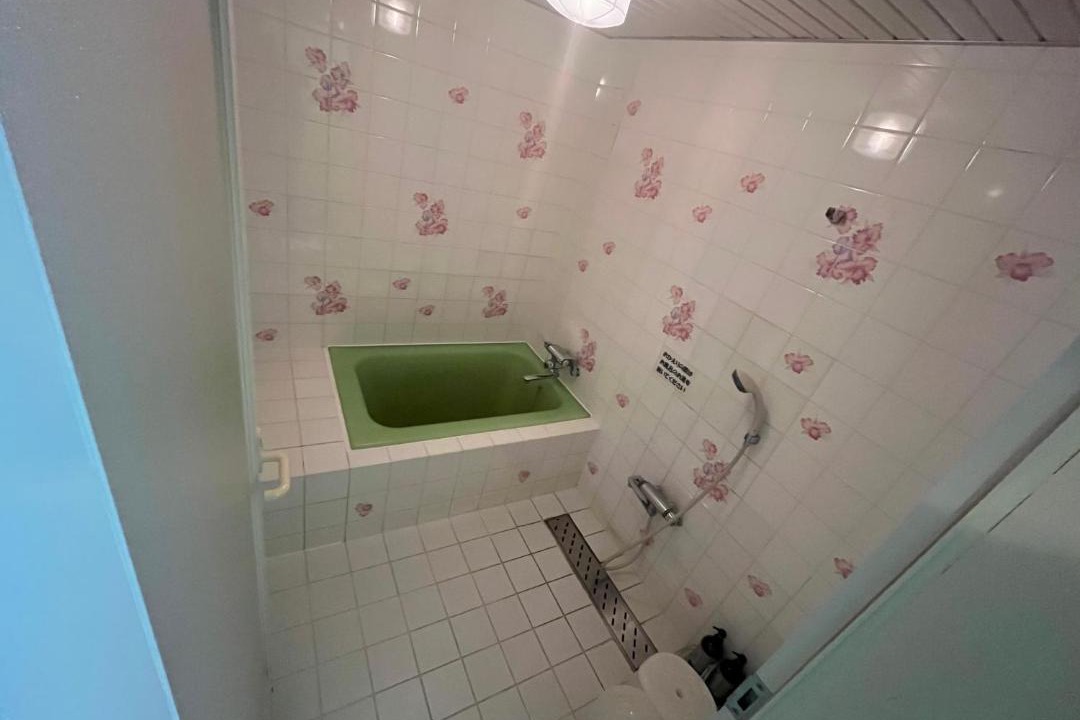 Photo of Bathroom in Hitachi