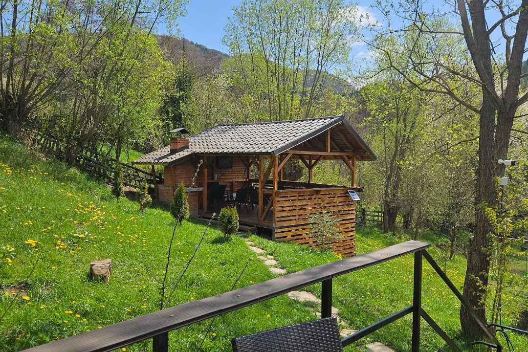 Photo of Others in Valea Doftanei