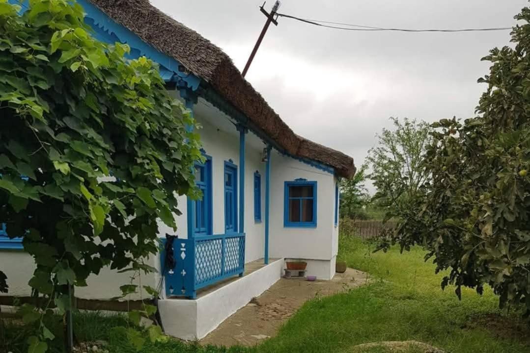 Photo of Others in Murighiol