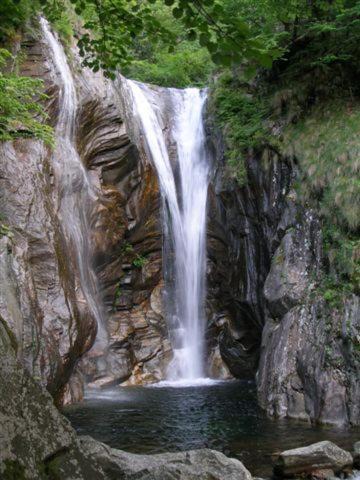 Photo of Others in Aurigeno