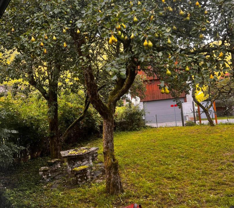 Photo of Outdoor in Tolmin