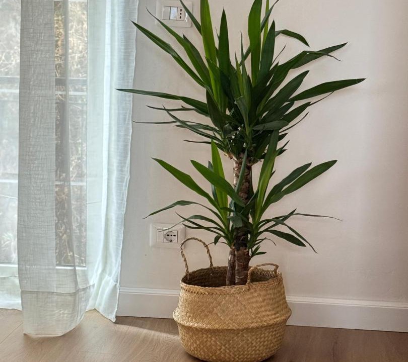 Photo of Livingroom in Sgurgola