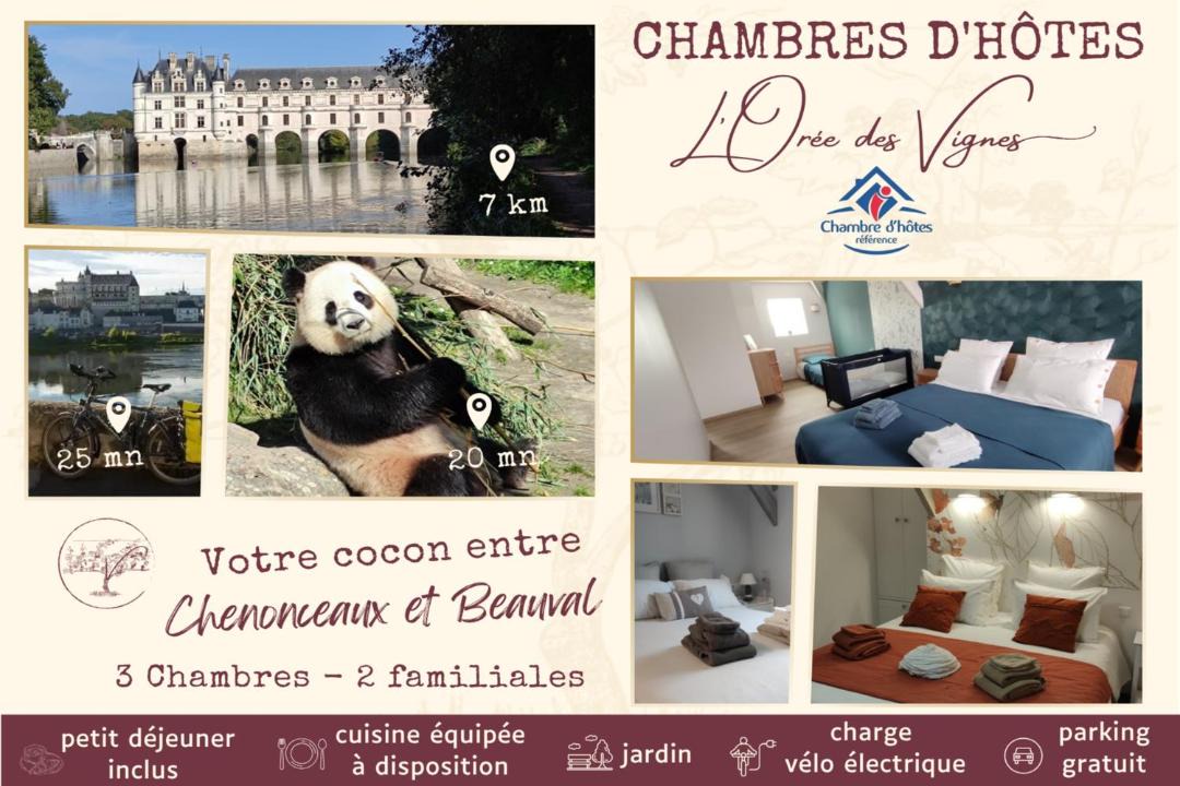 Photo of Others in Saint-Georges-sur-Cher