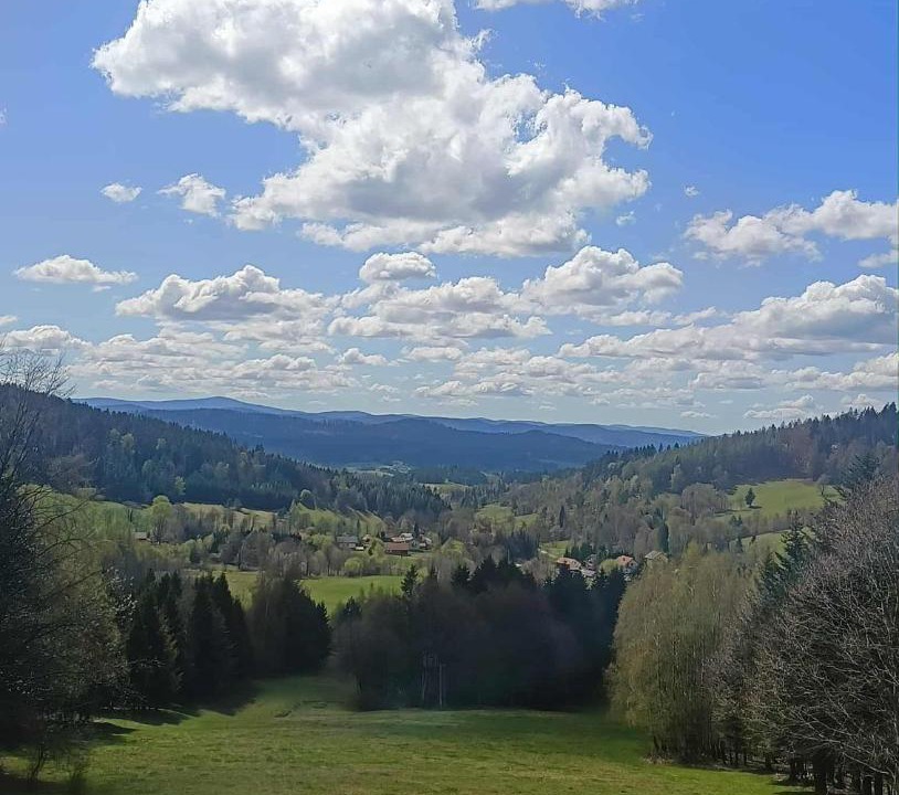 Photo of Others in Rabe