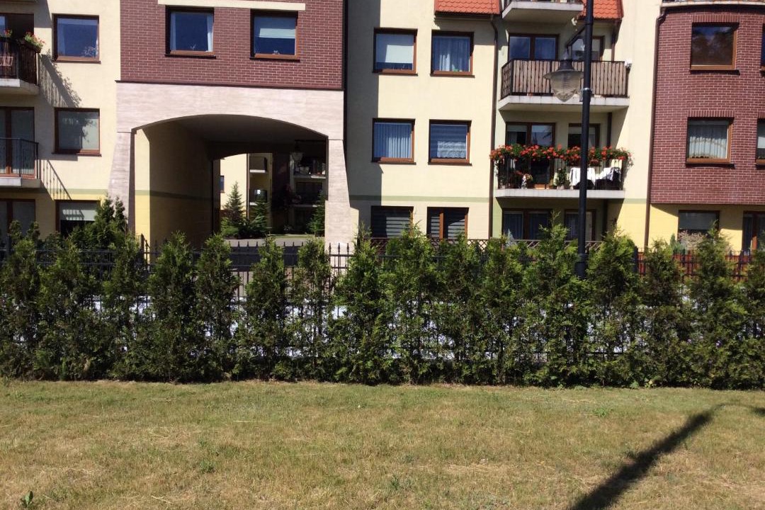Photo of Others in Wejherowo