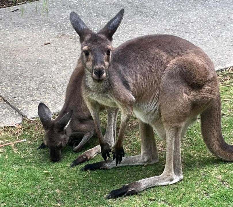 Photo of Others in Preston Beach