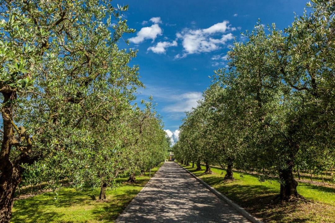 Photo of Outdoor in Bardolino
