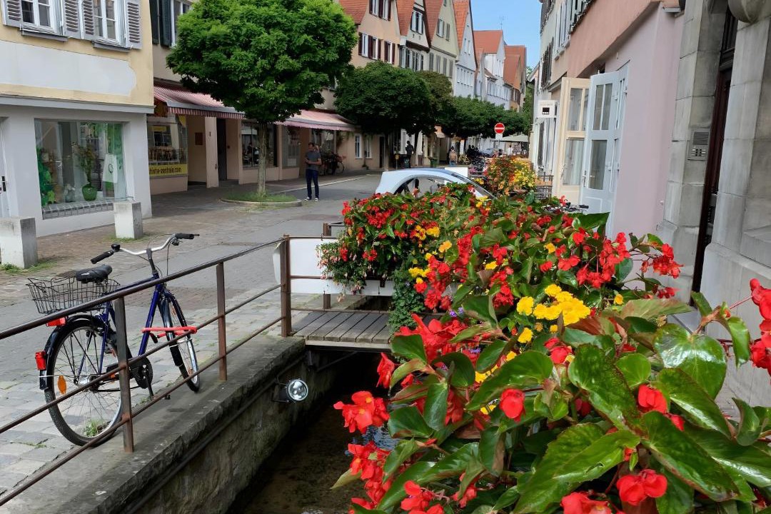 Photo of Others in Tuebingen