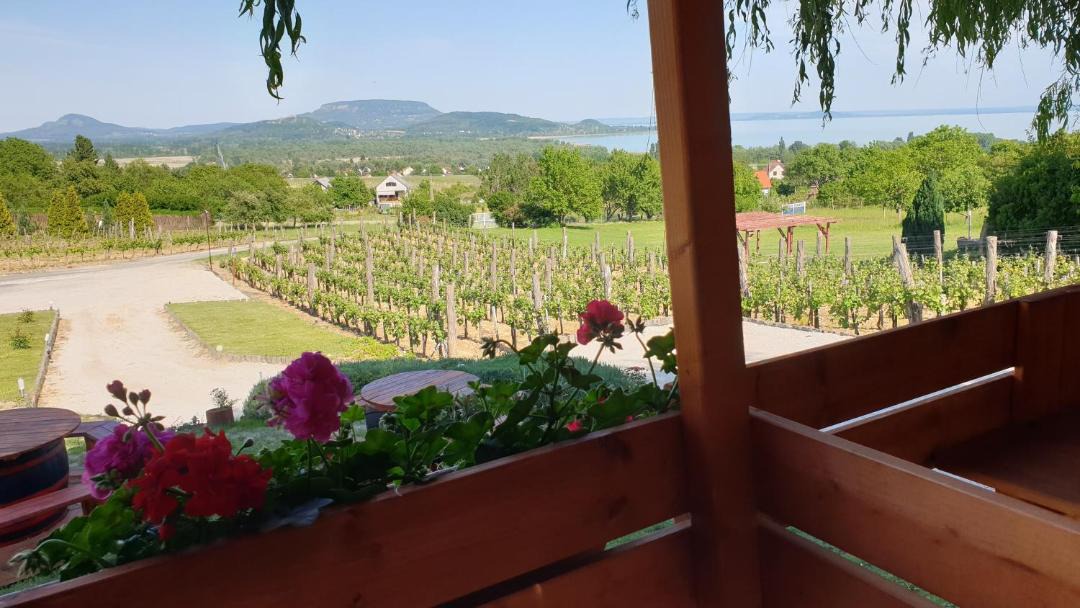 Photo of Patio Balcony in Balatonederics