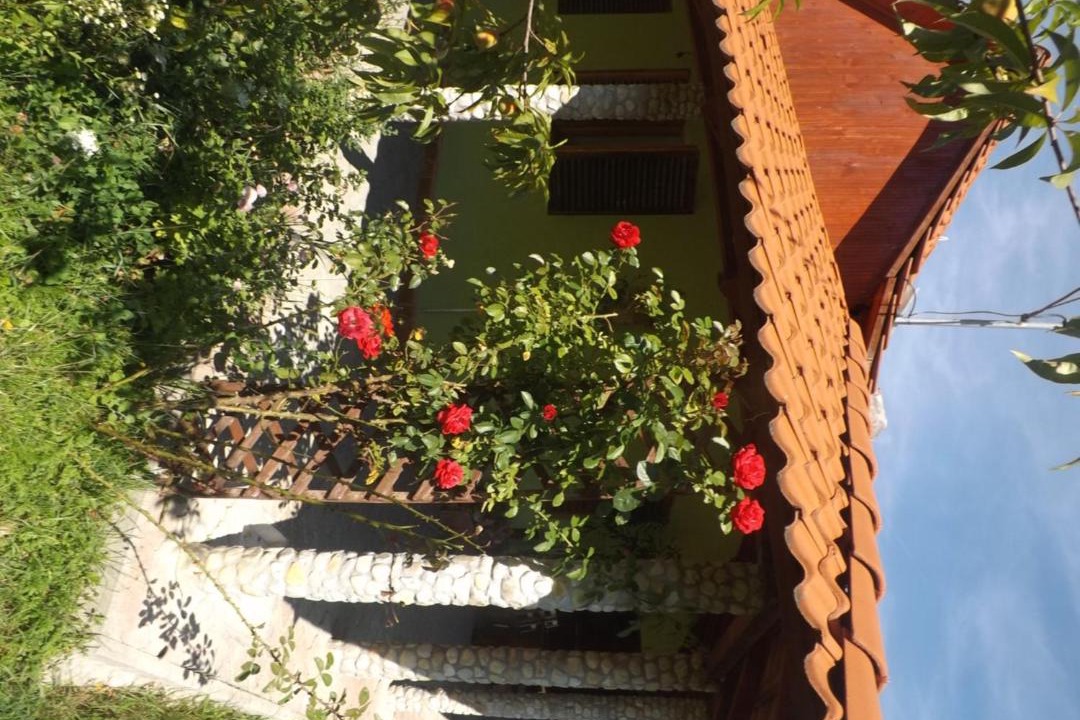 Photo of Others in Capatineni-Ungureni