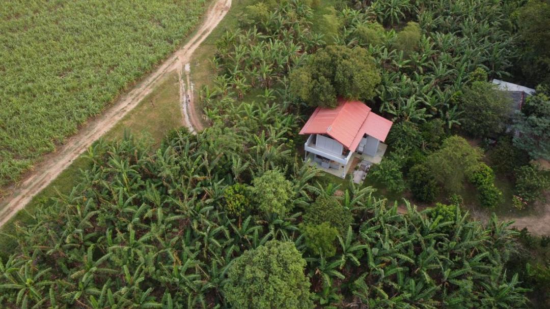 Photo of Others in Buttala
