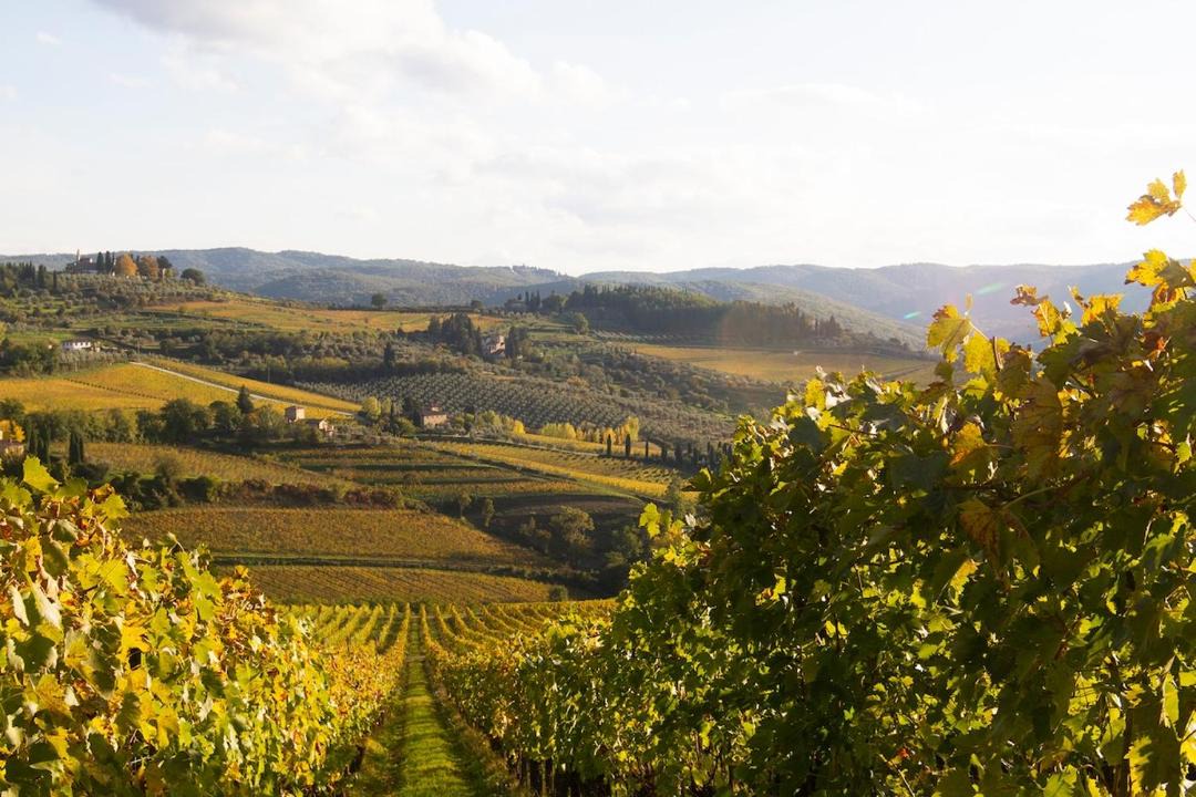 Photo of Others in Panzano in Chianti