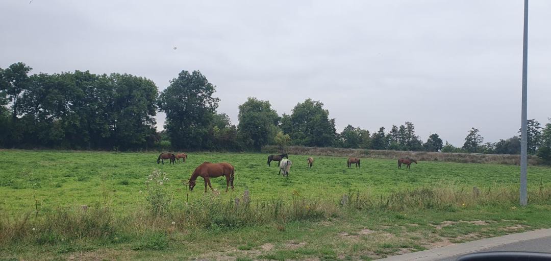 Photo of Others in Fleury-sur-Orne