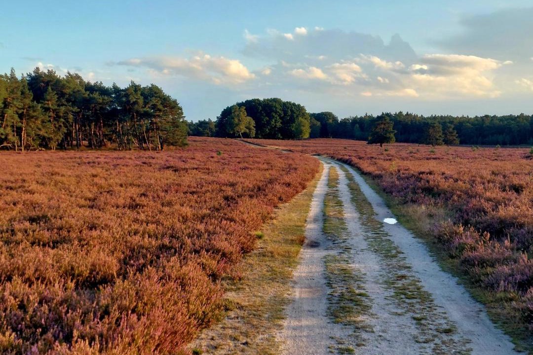 Photo of Others in Hattemerbroek