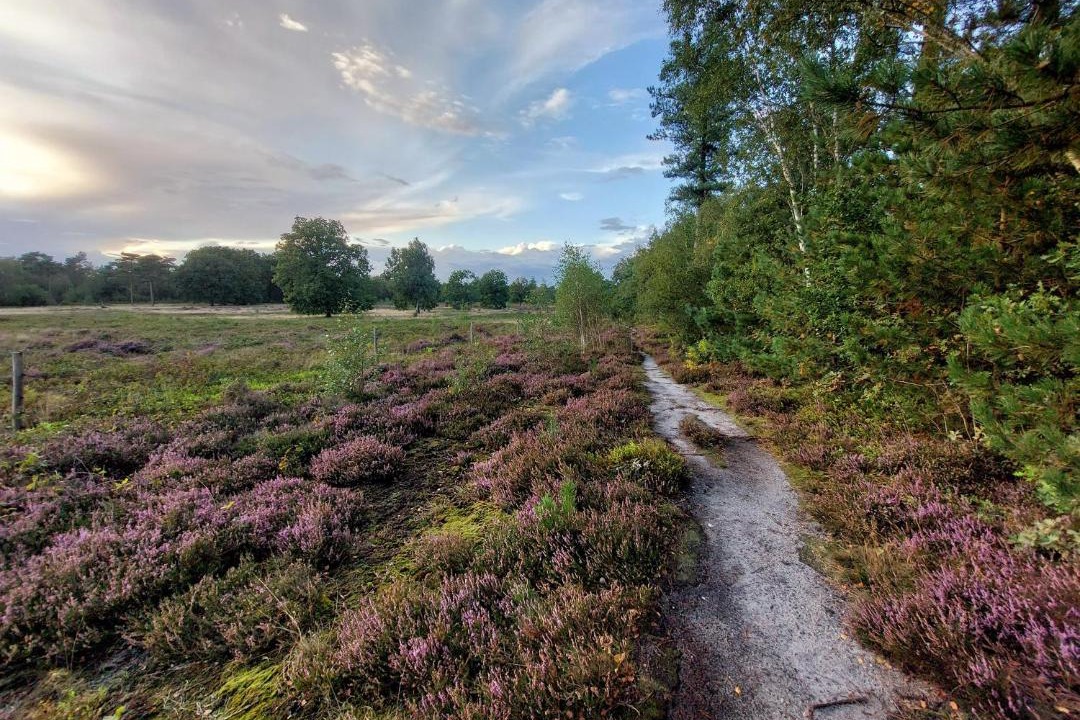 Photo of Others in Hattemerbroek