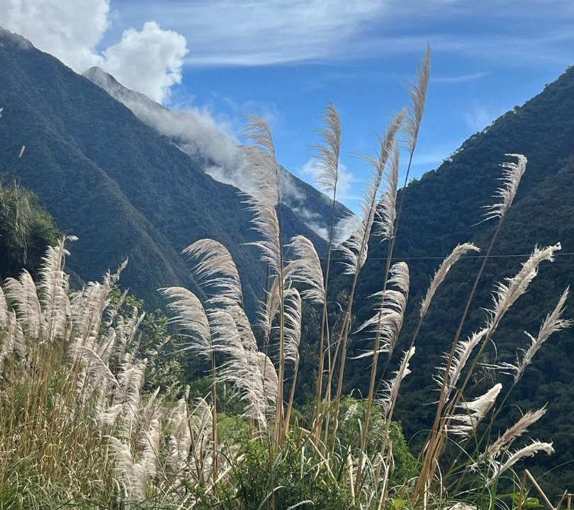Photo of Outdoor in Santa Teresa