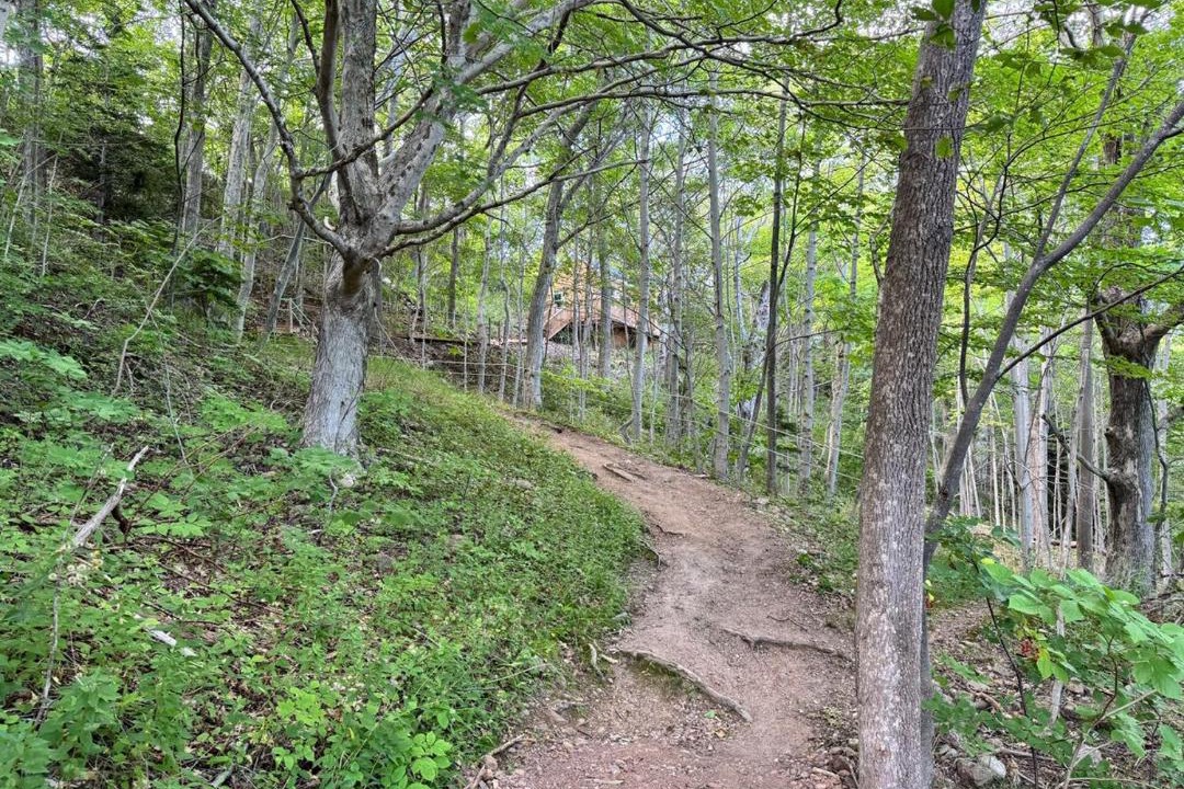 Photo of Others in Pleasant Bay