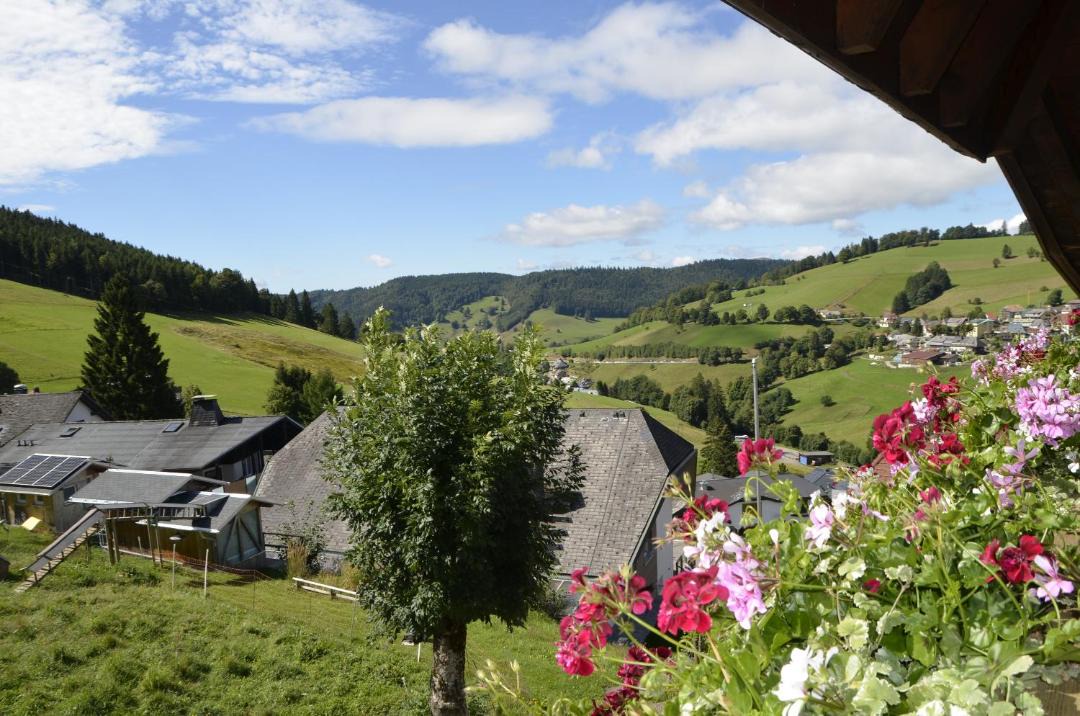 Photo of Others in Todtnauberg