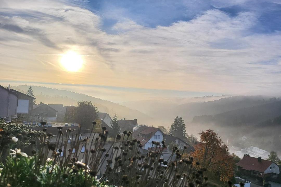 Photo of Others in Schonach im Schwarzwald