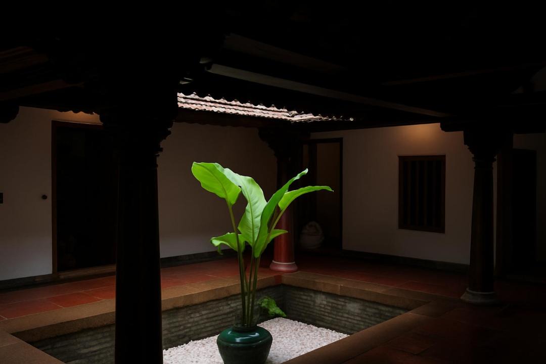 Photo of Others in Thrissur