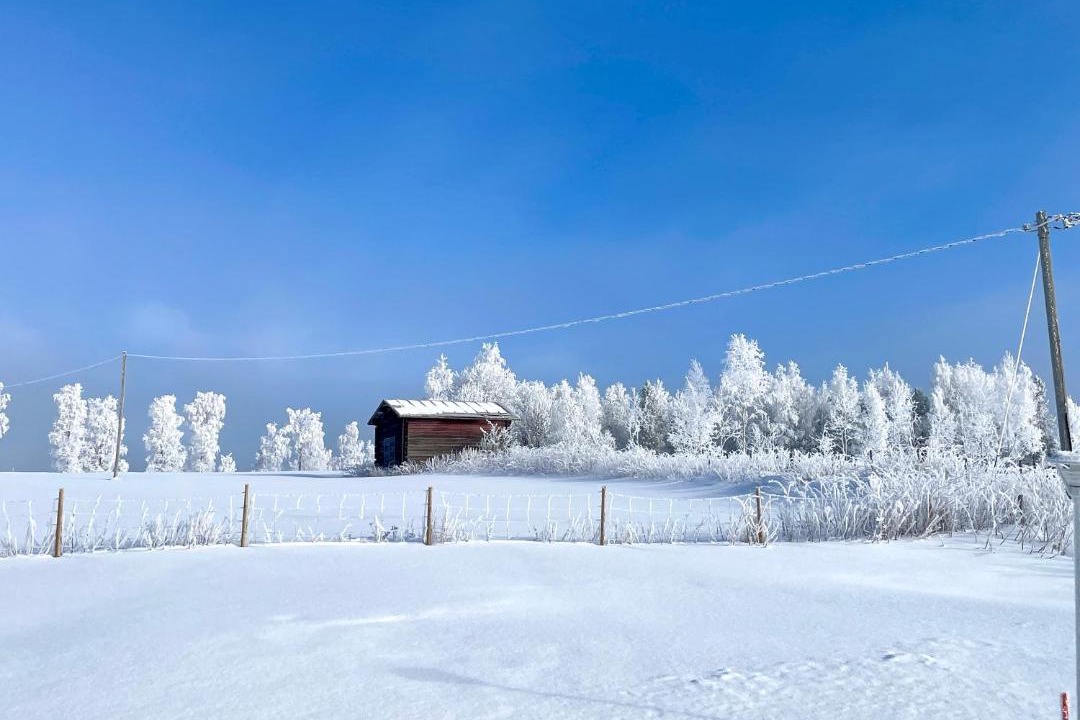 Photo of Others in Kuusamo