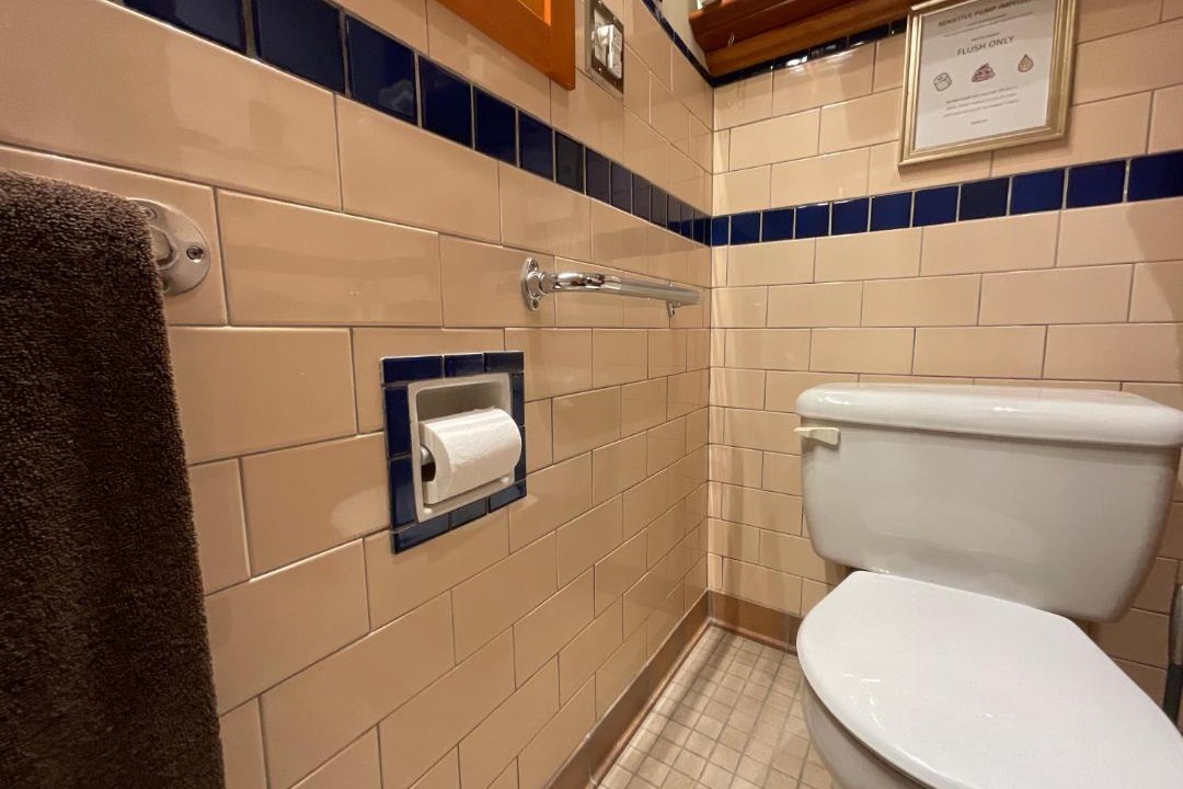 Photo of Bathroom in North Glenmore