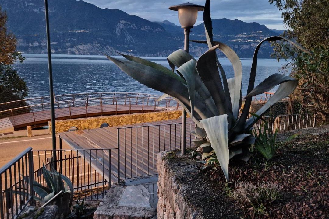 Photo of Others in Brenzone sul Garda