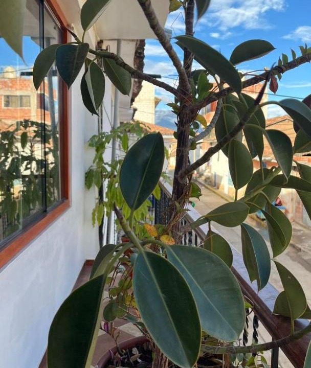 Photo of Patio Balcony in Mollepata