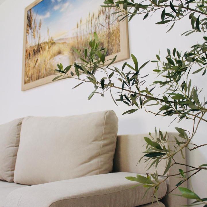 Photo of Livingroom in Ankaran