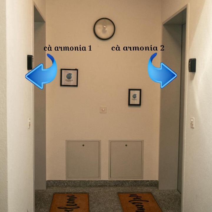 Photo of Others in Mergoscia