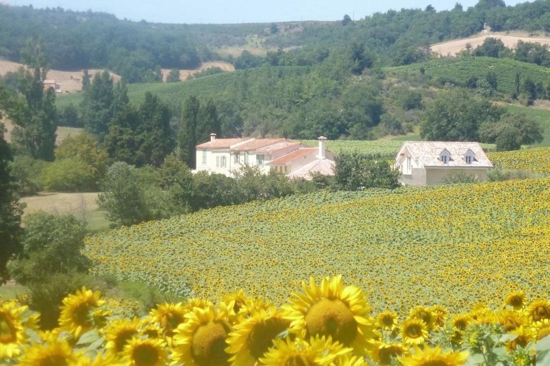 Photo of Others in Hounoux