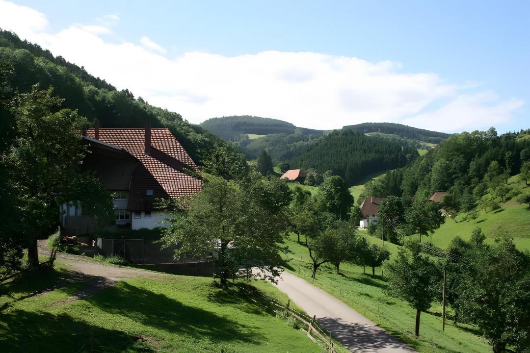 Photo of Others in Muehlenbach