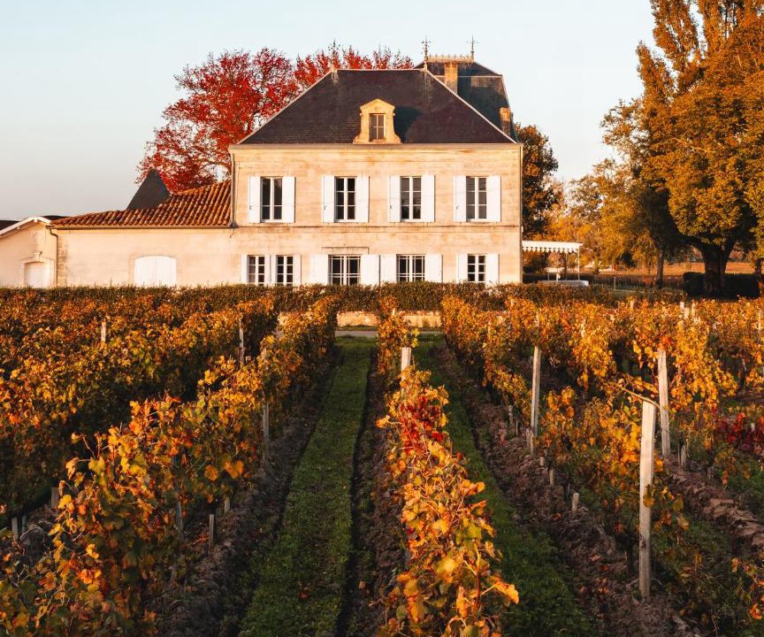 Photo of Others in Saint-Emilion