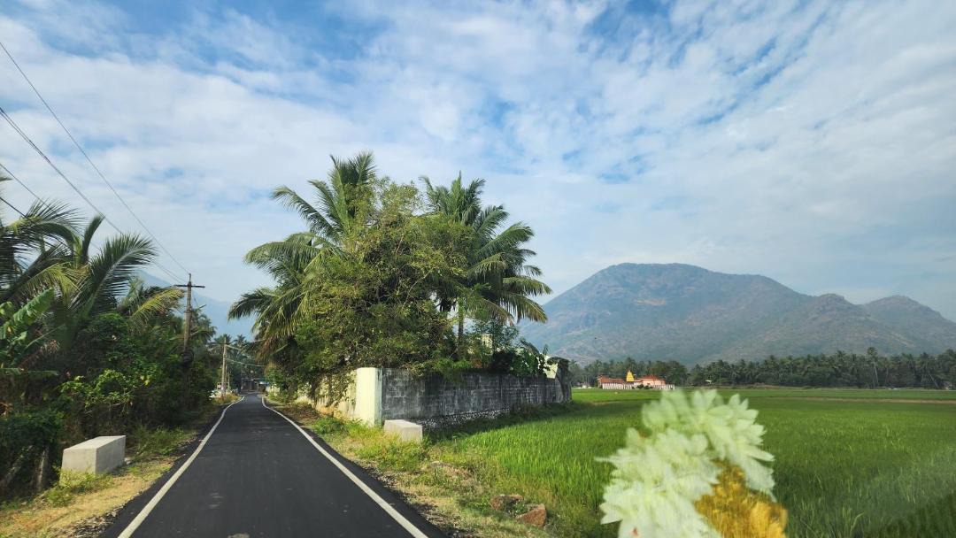 Photo of Others in Nagercoil