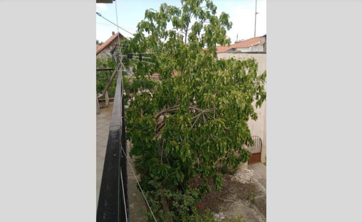 Photo of Outdoor in Pylaia-Chortiatis