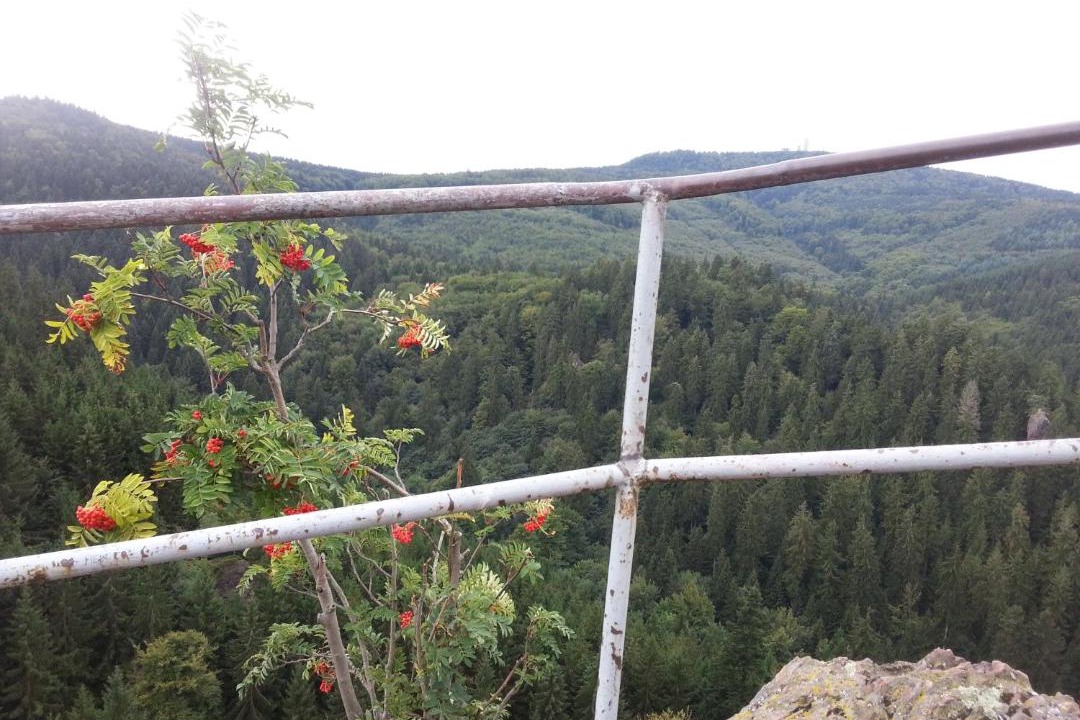 Photo of Others in Wutha-Farnroda