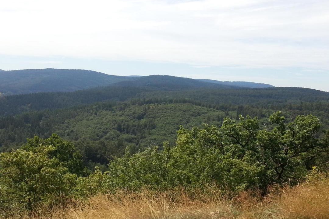 Photo of Others in Wutha-Farnroda