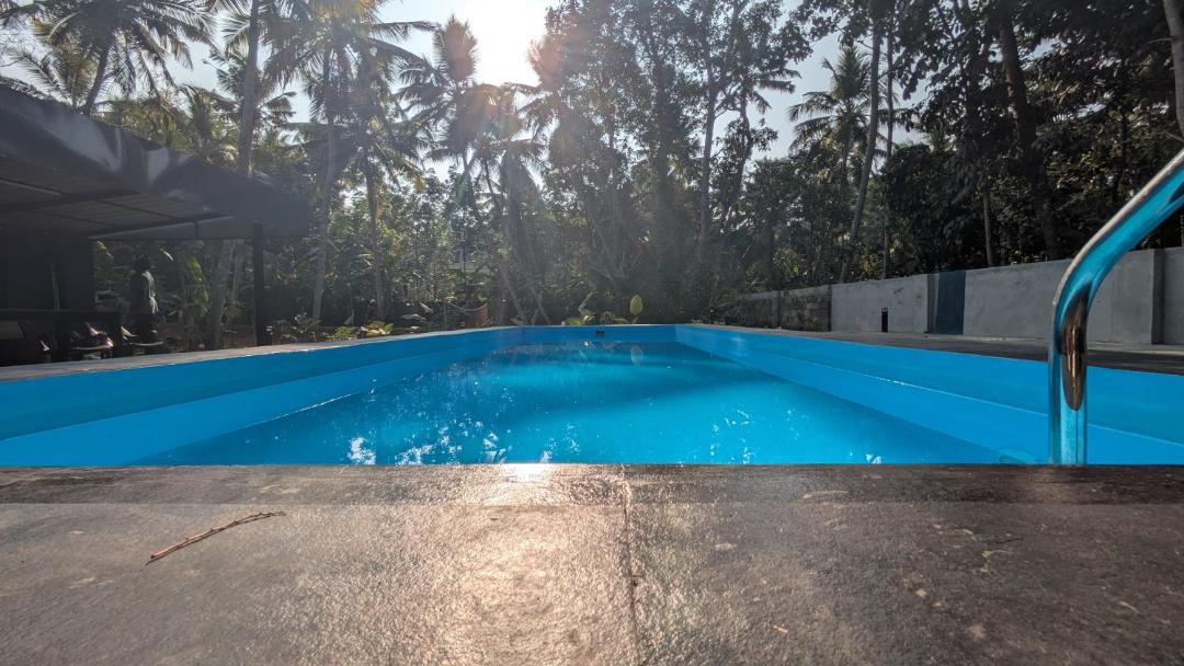 Photo of Others in Poovar