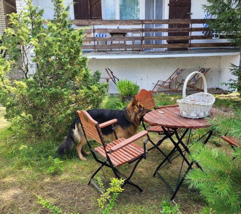 Photo of Others in Podjazy
