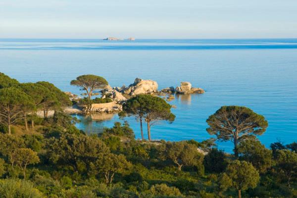 Photo of Others in Hameau de Palombaggia