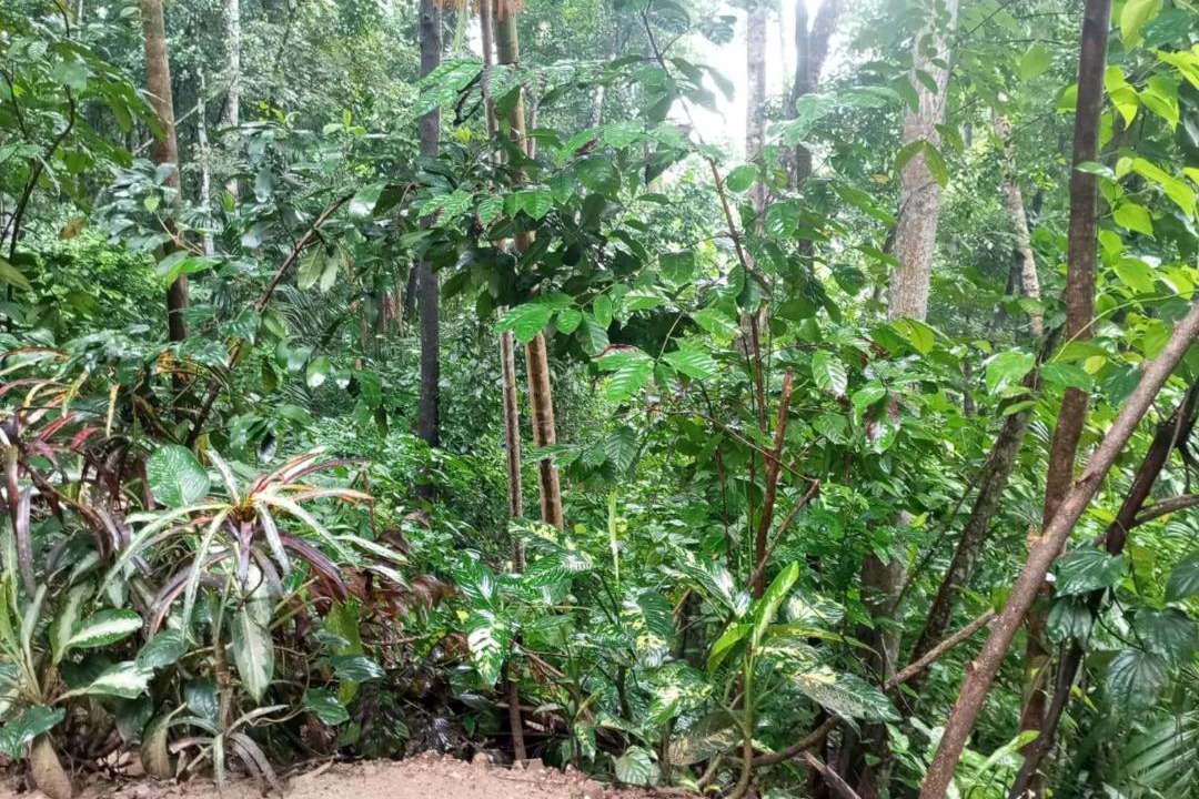 Photo of Others in Rambukkana