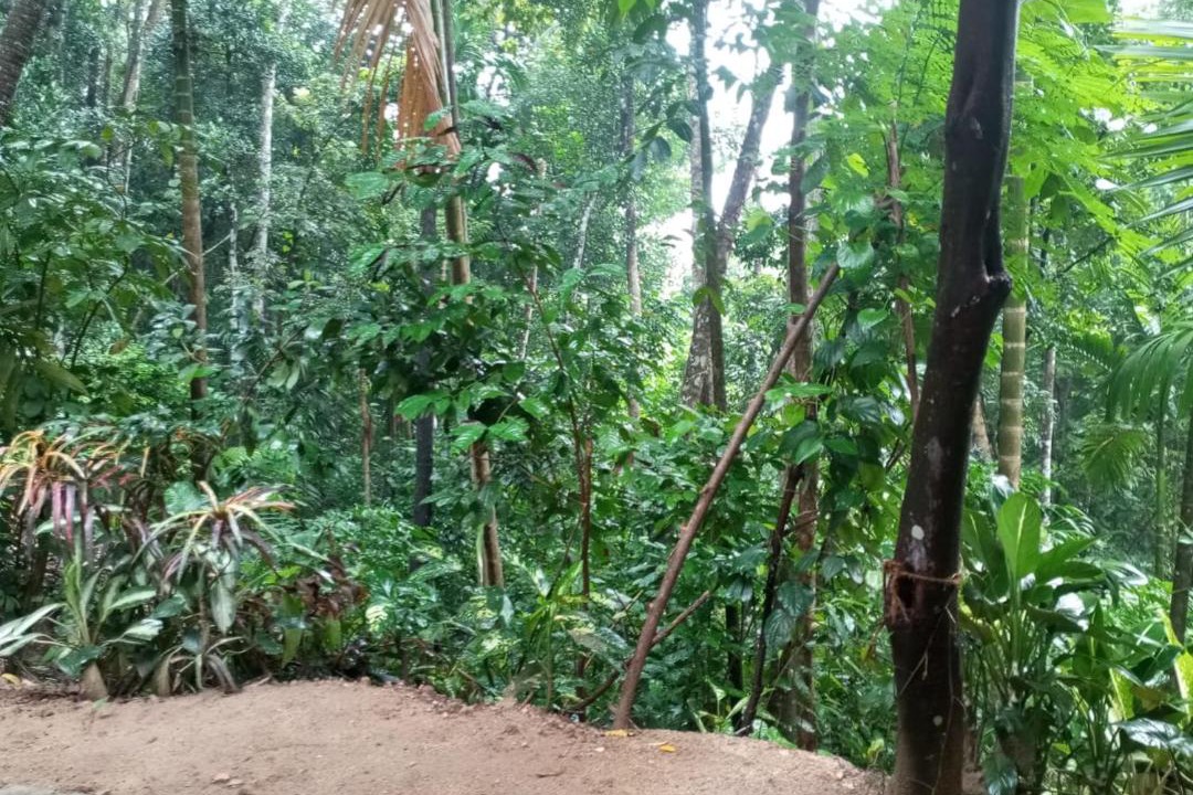 Photo of Others in Rambukkana