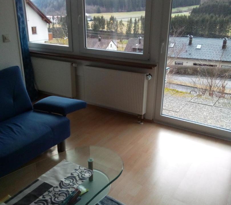 Photo of Livingroom in Gemarkung Horschwag