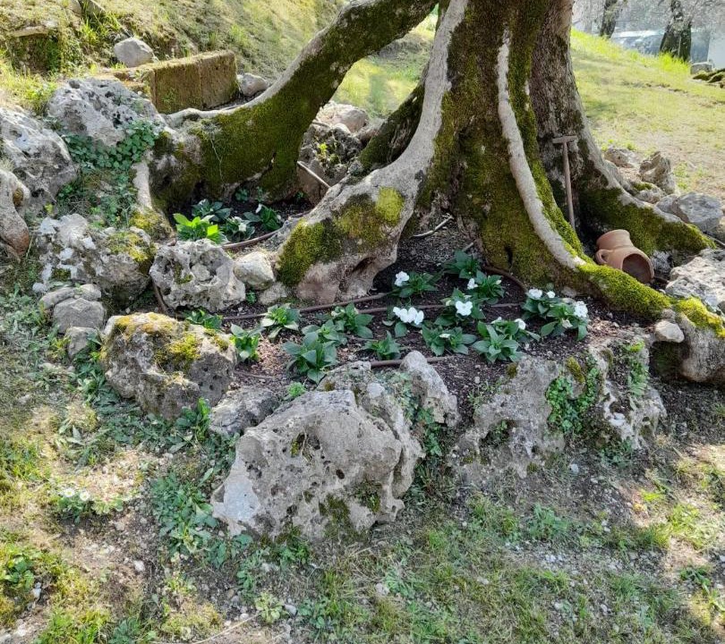 Photo of Others in Cassone
