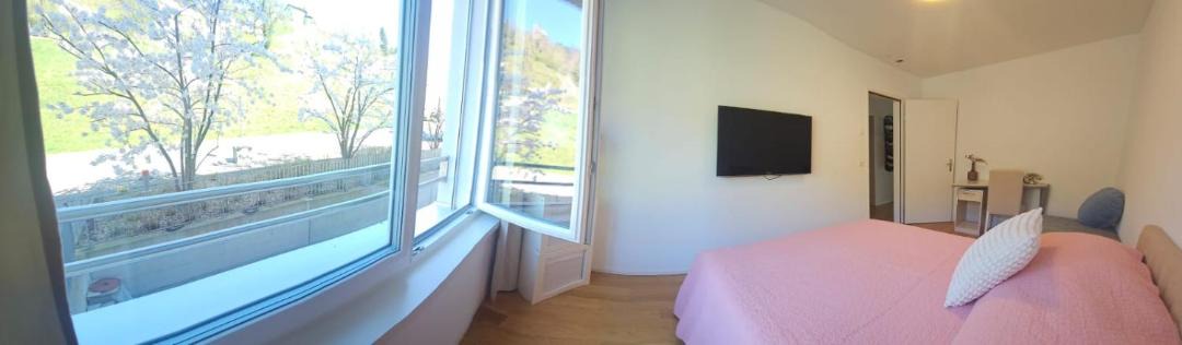 Photo of Others in Dietikon District