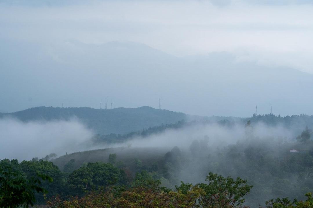 Photo of Others in Mannarkkad