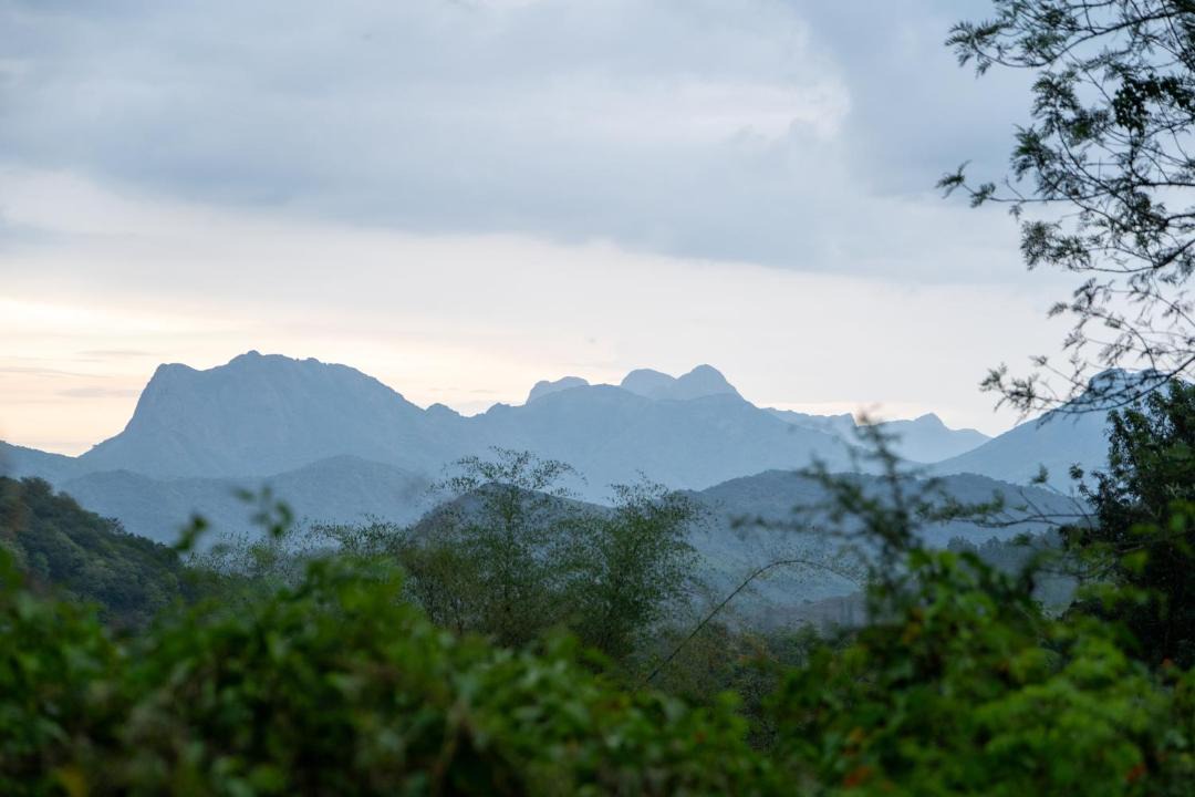 Photo of Others in Mannarkkad